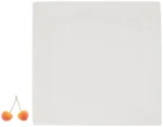 Elegant White Porcelain Dinner Plate 10" x 10" | 25 cm x 25 cm - Premium Tableware by WILMAX - Image 9