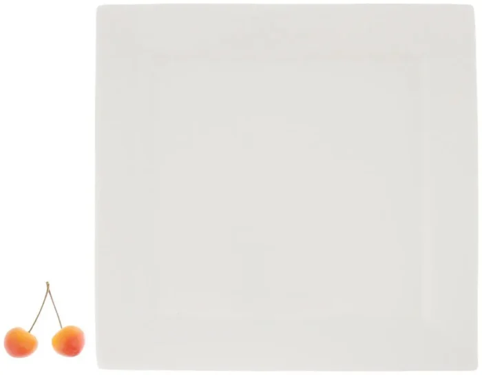 Elegant White Porcelain Dinner Plate 10" x 10" | 25 cm x 25 cm - Premium Tableware by WILMAX - Image 9