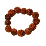 Buy RUDRAKSHA Bracelet - High-Quality, Stretchable & Spiritual | Shop Now