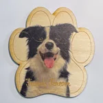 Border Collie Magnet - Adorable Dog-themed Fridge Magnet | Shop Now