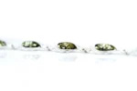 Shop Green Baltic Amber Link Bracelet - Handcrafted Sterling Silver Jewelry - Image 3