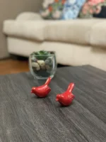 Vibhsa Birds of Health and Happiness Set - Handmade Red Figurines for Home Decor & Gifting
