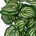 Stylish 40cm Artificial Foliage Plant Pot with Realistic Watermelon Leaves Perfect for Home & Office Decor - Image 2