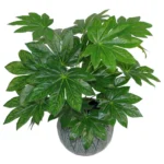 Artificial Foliage Plant Pot Aralia - 60cm High, Realistic Indoor Decor - Lush Greenery Without the Fuss