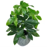 Artificial Foliage Plant Pot - 50cm Lifelike Artificial Money Tree Plants for Home & Office Decor