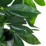 Artificial Foliage Plant Pot - 50cm Lifelike Artificial Money Tree Plants for Home & Office Decor - Image 4