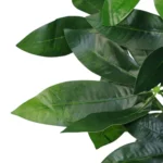 Artificial Foliage Plant Pot - 50cm Lifelike Artificial Money Tree Plants for Home & Office Decor - Image 5