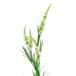 Elegant 80cm Artificial White Larkspur Flowers - Realistic Silk Stems for Floral Arrangements & Home Decor