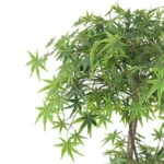 Lifelike Artificial Japanese Maple Tree Pot - 150cm | Realistic Foliage & Stems - Image 3