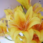 Artificial Yellow Lily Flowers - 60cm Bare Stem, Pack of 12 - Realistic & Versatile Floral Arrangement - Image 2