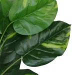 Artificial Foliage Plant Pot - Devils Ivy 60cm | Realistic Indoor Houseplant | Variegated Leaves | Home & Office Decor by Leaf Design UK - Image 3