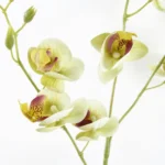 Elegant 80cm Cream Mini Orchid Stem - Perfect Artificial Flowers for Home Decor & Arrangements - Image 3