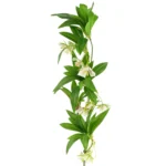 Artificial Hainan Elaeocarpus Stem 90cm - Realistic & Versatile Home Decor Elegance