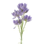 Artificial Purple Starflower Stem - 60cm Silk Flowers for Elegant Arrangements & Decor
