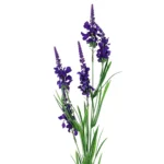 Artificial Flowers Purple Larkspur Stem - 80cm Tall, Realistic Silk Petals, Perfect for Home Decor & Floral Arrangements
