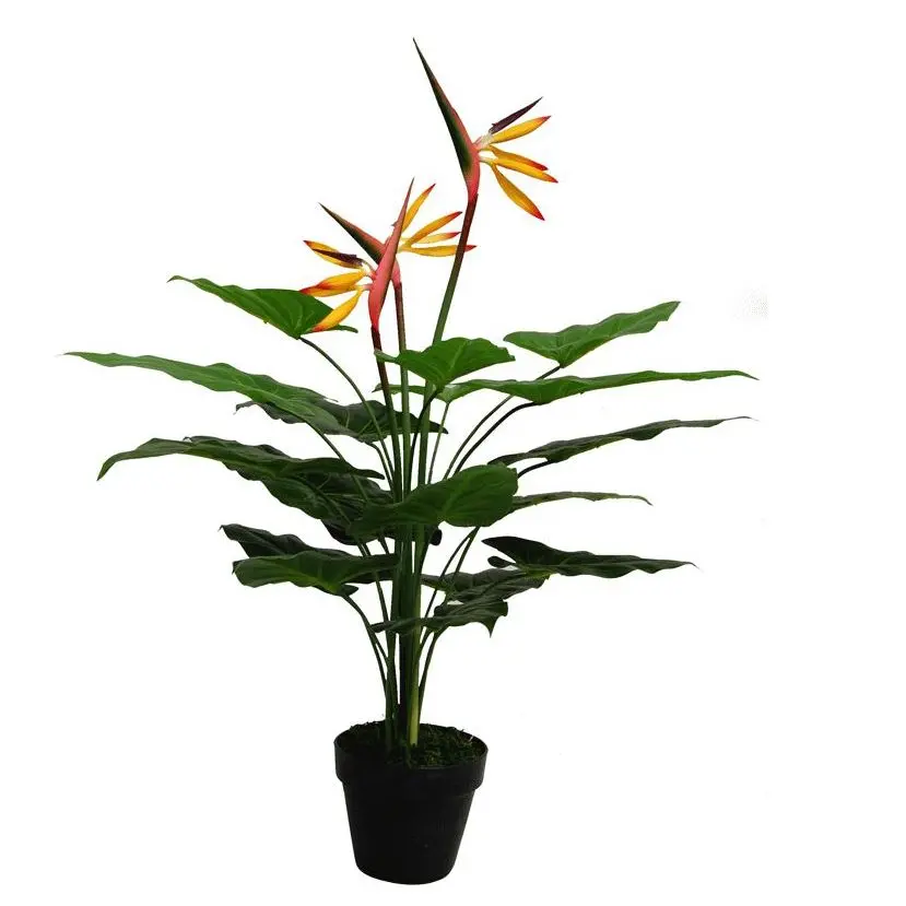 34874682_large.webp Artificial Bird of Paradise Strelitzia Plant 70cm - Lifelike Floral Decor for Home and Office - Image 1