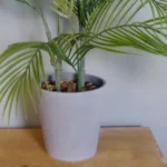 Artificial Palm Tree in Decorative Planter 90cm - Realistic & Low Maintenance Indoor Decor - Image 2