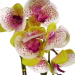 Elegant Artificial Pink Orchid in Silver Pot - 46cm Tall, Realistic Touch | Perfect Home & Office Decor - Image 2