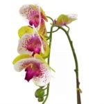 Elegant Artificial Pink Orchid in Silver Pot - 46cm Tall, Realistic Touch | Perfect Home & Office Decor - Image 5