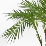 Lifelike Areca Artificial Palm Tree with Gold Planter - 90cm Tall | Perfect for Indoor Home & Office Decor - Image 3