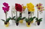 Large Artificial Orchid in Dark Pink & Silver - 52cm Realistic Home & Office Decor - Image 4