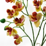 Vibrant 43cm Pink & Yellow Artificial Orchid Plant in Ceramic Planter - Leaf Design UK Home Decor - Image 4