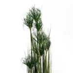 Elegant 120cm Artificial Ornamental Grass Plant - Lifelike Indoor & Outdoor Decor by Leaf Design UK - Image 2