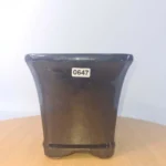 Elegant 13cm Black Glazed Bonsai Pot - Cascade Style | Perfect for Indoor Ornamental Trees