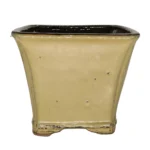 18cm Glazed Cascade Bonsai Pot - Square Olive Green | Perfect for Medium to Large Bonsai Trees