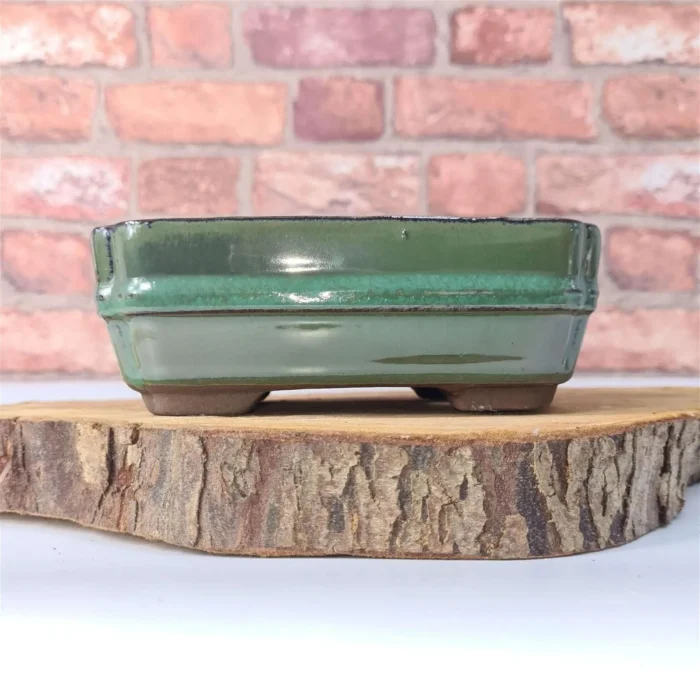 16cm Glazed Green Rectangle Bonsai Pot - Premium Ceramic | Indoor & Outdoor Display - Image 1