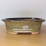 Elegant 21cm Green Oval Glazed Bonsai Pot with Drainage Holes - Ideal for Medium Bonsai Trees