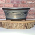 Elegant 16cm Silver Glazed Bonsai Pot - Rectangular, Perfect for Indoor & Outdoor Bonsai Trees