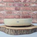 Elegant 26cm Glazed Oval Bonsai Pot - White | Ideal for Home & Garden Decor | 26cm x 22cm x 6.5cm
