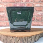 Elegant 15cm Square Glazed Cascade Bonsai Pot | Dark Green Ceramic | Ideal for Bonsai Trees