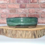16cm Green Glazed Oval Bonsai Pot - Ideal for Indoor & Outdoor Miniature Trees