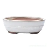 18cm White Glazed Oval Bonsai Pot - Premium Ceramic Planter for Bonsai Trees | 18cm x 15cm x 5cm