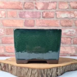 Elegant 18cm Glazed Cascade Bonsai Pot - Square, Green | Premium Bonsai Planter