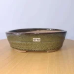 Elegant 22cm Green Glazed Oval Bonsai Pot - Ideal for Indoor & Outdoor Decor | 22cm x 16cm x 7cm