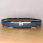 Elegant Blue Oval Bonsai Pot - 32cm Glazed Ceramic | Perfect for Display and Growth