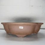 Elegant 31cm Unglazed Oval Bonsai Pot - Floral Brown, Ideal for Bonsai Enthusiasts