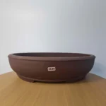 Elegant 37cm Unglazed Oval Bonsai Pot | Perfect for Bonsai Enthusiasts | 37cm x 30cm x 9cm | Brown Pot