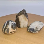Grey Angel Decorative Rocks for Bonsai Tree Landscapes | Set of 3 Natural Stones (6-10 cm) - Enhance Your Bonsai Art