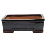 Elegant 31cm Glazed Black Bonsai Pot - Rectangular Shape with Drainage Holes for Healthy Growth