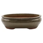 Elegant 37cm Glazed Bonsai Pot | Oval Shape | Olive Green Finish | Perfect for Bonsai Enthusiasts