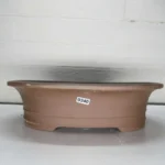 31cm Oval Unglazed Bonsai Pot - Brown | Durable & Elegant Design | Ideal for Bonsai Lovers