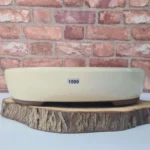 Elegant 32cm Oval Glazed Bonsai Pot White/Cream | Ideal for Bonsai & Succulent Display | 32x26x7cm