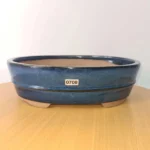 Elegant 31cm Blue Glazed Oval Bonsai Pot | Premium Ceramic Planter for Indoor & Outdoor Bonsai