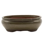 31cm Olive Green Glazed Oval Bonsai Pot Perfect for Your Bonsai Tree | 31cm x 25cm x 11cm