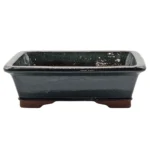 Premium 37cm Glazed Bonsai Pot - Rectangular Green Planter for Bonsai Enthusiasts | 37cm x 30cm x 12cm