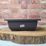 Durable Plastic Bonsai Training Pot - Rectangle Shape, 16cm x 12cm x 6cm | Perfect for Healthy Bonsai Growth
